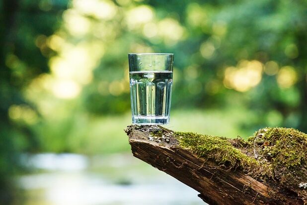 Liquid water is the best choice for a water diet